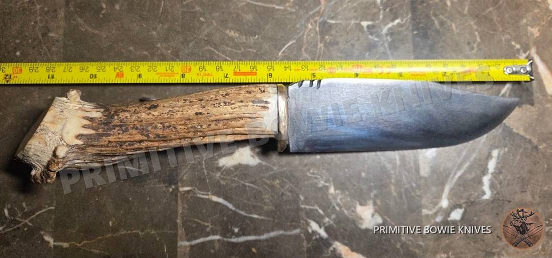 Stag crown handle measured, a handmade knife with an elk stag handle